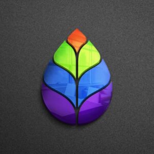 beautiful-colorful-leaf-logo-design