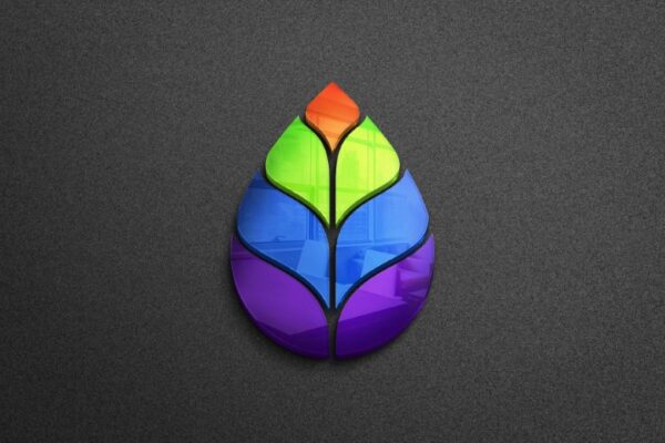 beautiful-colorful-leaf-logo-design