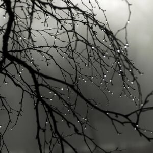 Water Droplets Background