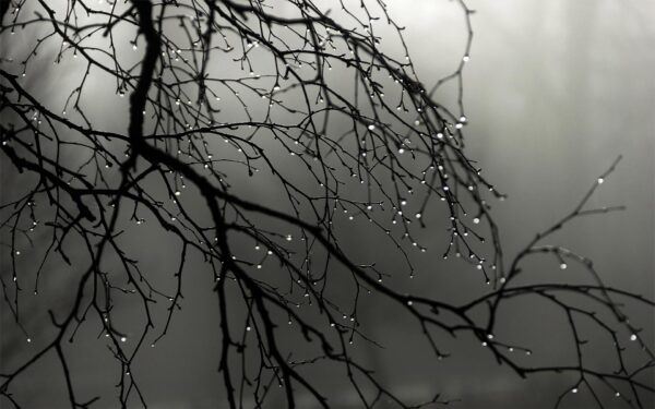 Water Droplets Background