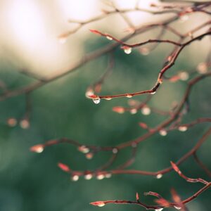 Water Droplets Background
