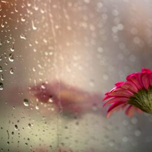 Water Droplets Background