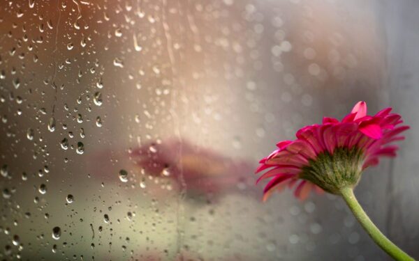 Water Droplets Background