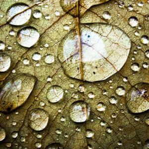 Water Droplets Background