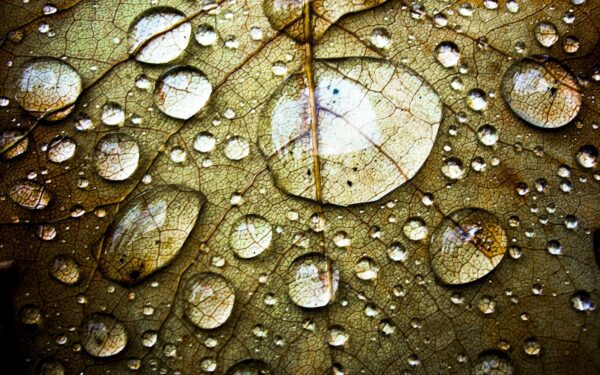 Water Droplets Background