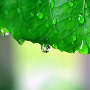 Water Droplets Background