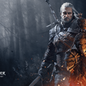 The Witcher Wild Hunt Background